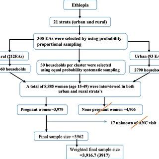 Image result for Eziprep Sampling Procedure