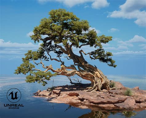 Image result for SpeedTree Pine Tree Texture