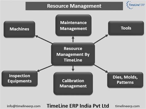 Image result for ERP Program Timeline