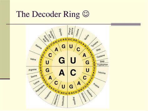 Decoder Ring Template に対する画像結果
