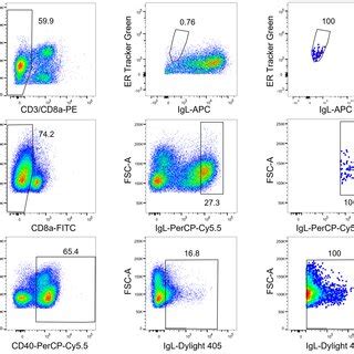 Image result for Marimo Cell Gating Flow Cytometry