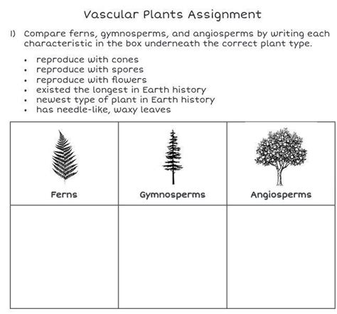 Image result for Seed Dispersal Angiosperm vs Gymnosperm