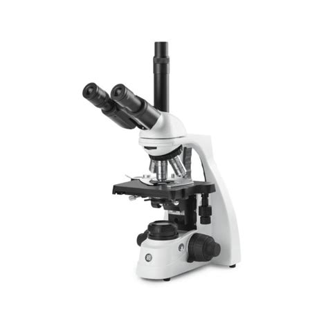 Image result for Compound Microscope with Creator