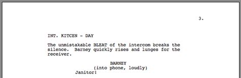 Image result for Script Format Parenthetical