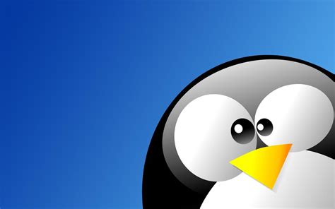 Image result for Linux Penguin Windows
