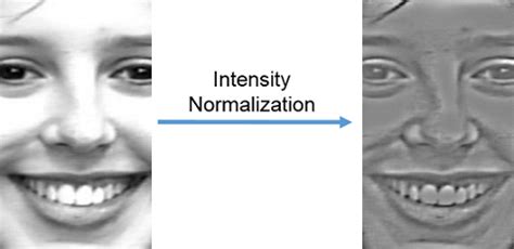 Image result for Total Intensity Normalization