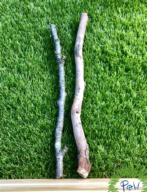 Image result for Teaching Length Using Natural Objects