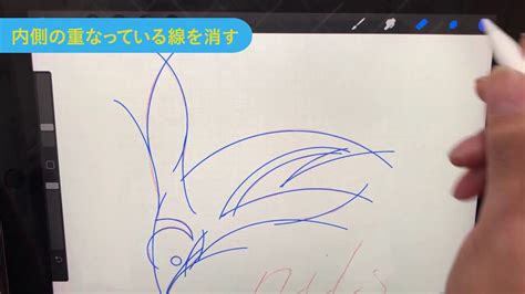 Procreate Logo に対する画像結果