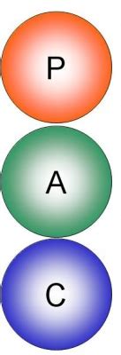 Examples Parent Adult Transaction に対する画像結果