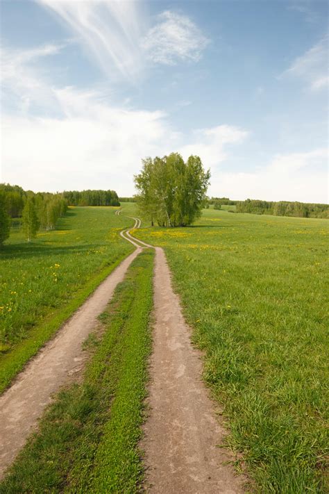 Quiz Wallpaper に対する画像結果