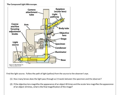 Image result for Light Microscope Specimen