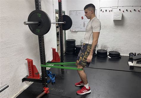 Image result for Spanish Squats Exercise