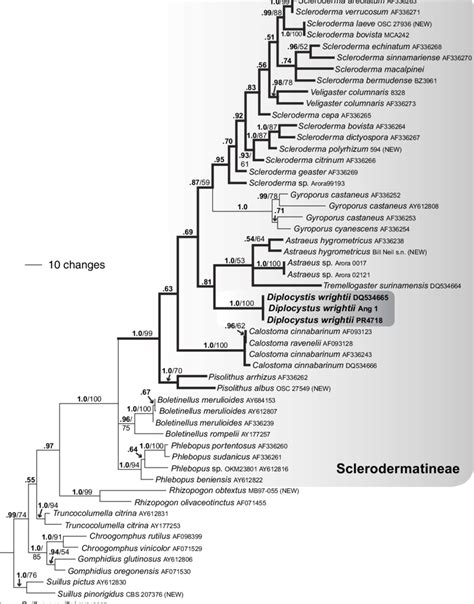 Toradh íomhá ar Evolution of Numbers