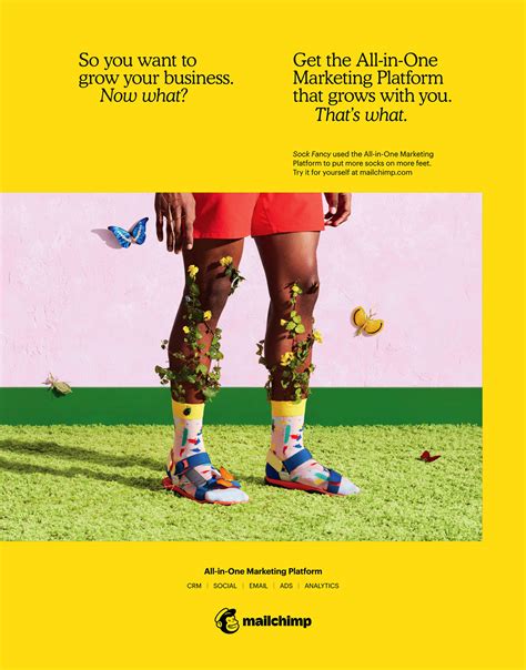 MailChimp Ad Campaign に対する画像結果