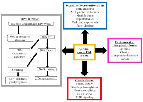 Cervical Cancer Risk Factors に対する画像結果