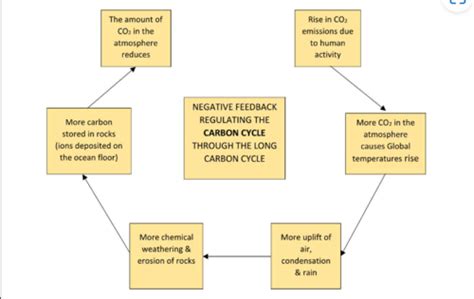 Image result for Negative Feedback Loop Water Cycle