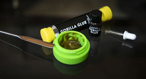 Bildergebnis für How to Add Terpenes to Water