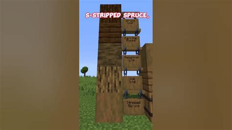 Afbeeldingsresultaten voor Minecraft Spruce Gradient
