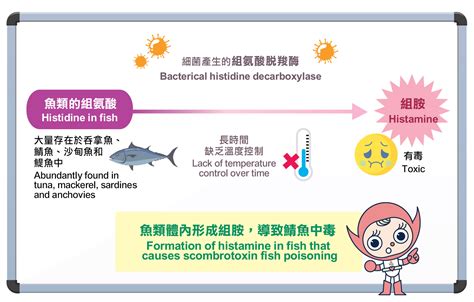 Image result for Histamine Toxin