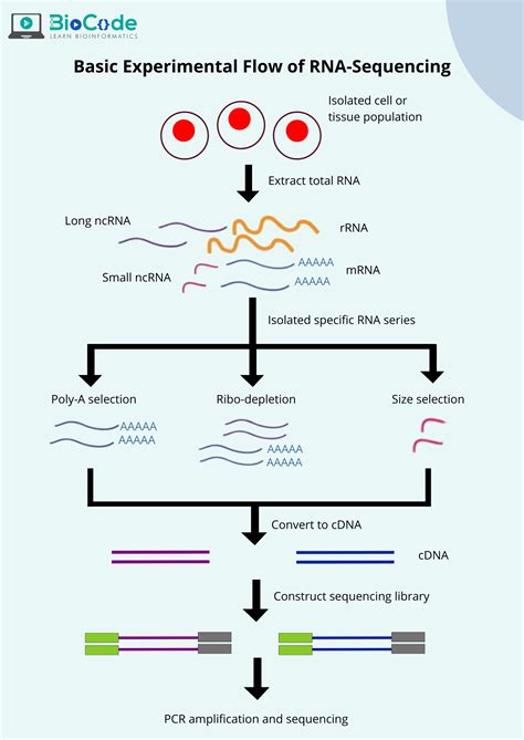 Image result for RNA-seq Data