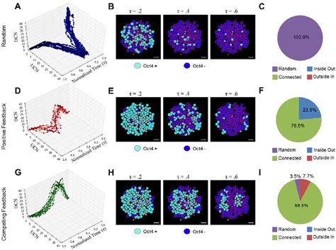 Spatial Differentiation Pattern に対する画像結果