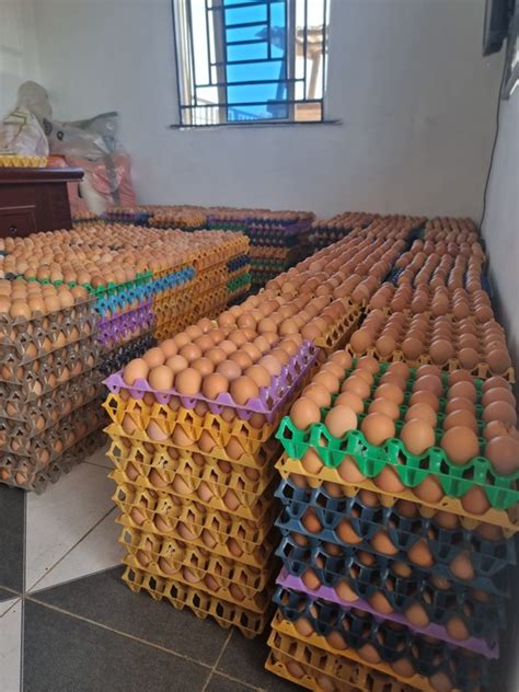 Image result for Egg Distribution Java Source Code