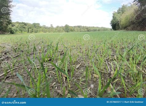 Toradh íomhá ar Germany Nature-Lovers