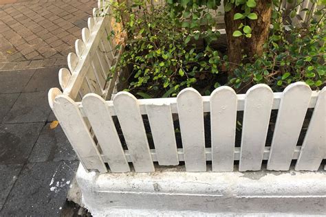 How To Build A Fence Around A Tree に対する画像結果