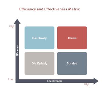 Making a Matrix に対する画像結果