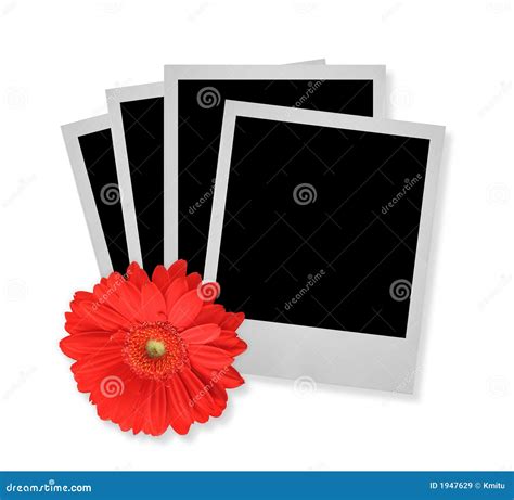 Image result for How to Stack Picture Frames Storage