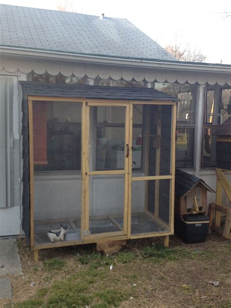 Image result for Building Backyard Pigeon Loft