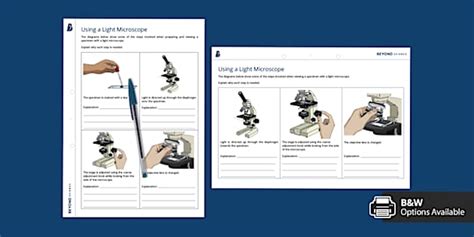 Image result for Light Microscope Printable Image