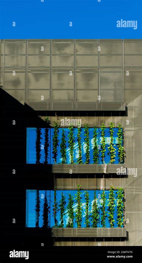 Image result for Buildings with Glass Front View