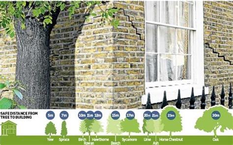 Toradh íomhá ar What Is a Subsidence in Weather