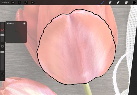 Image result for Procreate Tracing