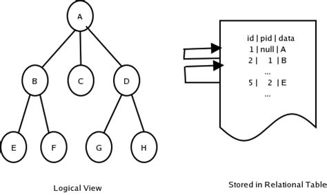Image result for Tree Image for Data Types in Java