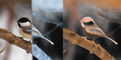 How to Invert Colors On GIMP に対する画像結果