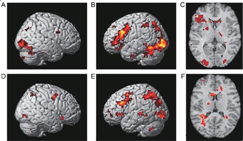 תוצאת תמונה עבור Encoding Memory Clip Art