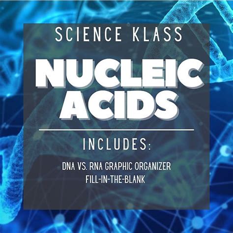 Image result for Nucleic Acids Worksheet Answer Key