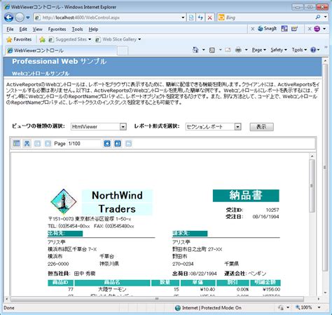 WebSphere Sample に対する画像結果