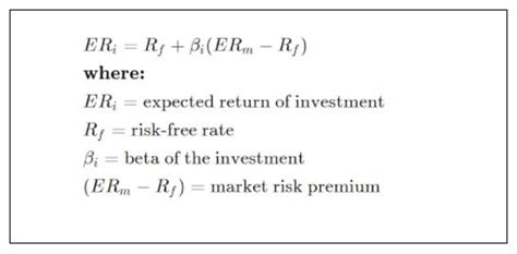 Capm Finance Formula に対する画像結果