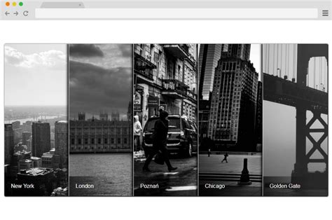 Image result for CSS Gallery Example