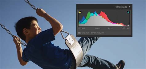 Image result for Histogram Photography Good Example
