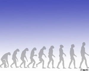 PowerPoint Template for Evolution に対する画像結果