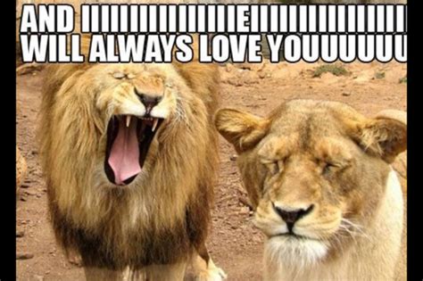 Afbeeldingsresultaten voor Random Meme Generator