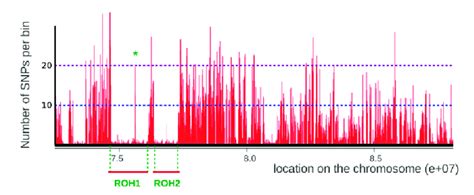 Image result for ROH Algorithm