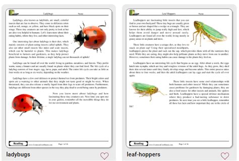Common Core Worksheet Writing in Multiple Forms に対する画像結果