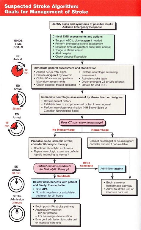 Afbeeldingsresultaten voor Adult Stroke Algorithm
