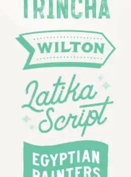 Image result for Script Font Hand Painted Sign