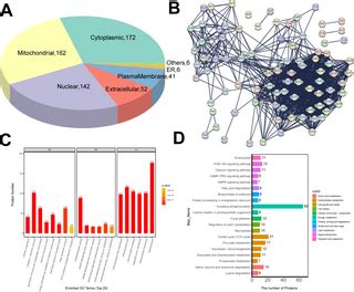 Résultat d’images pour Chicken Transcriptome